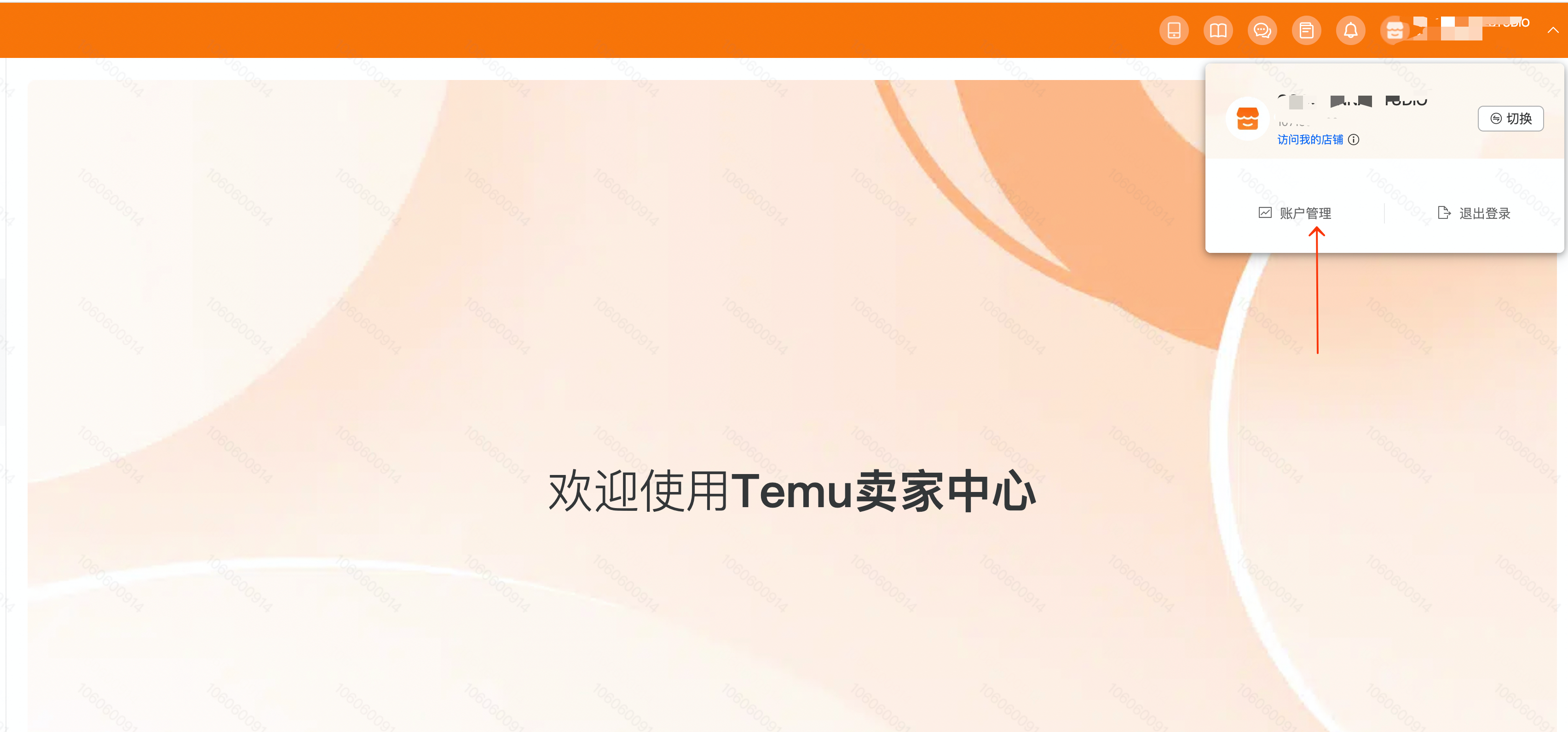 Temu卖家子账号使用指南